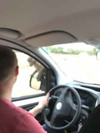 monkey on car safari zoo